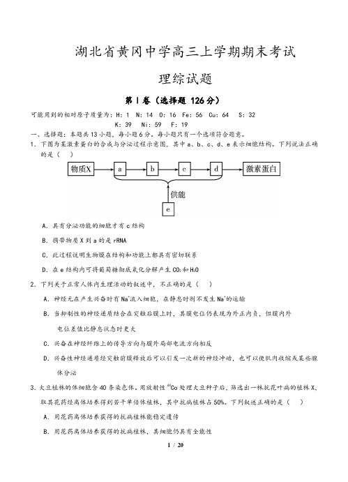 湖北省黄冈中学高三上学期期末考试 理综试题(含答案)