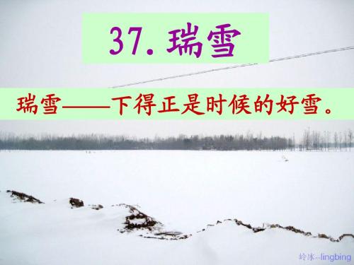 三年级语文上册  瑞雪