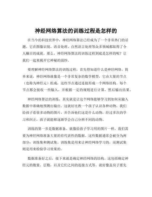 神经网络算法的训练过程是怎样的