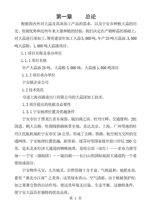 大蒜深加工项目建议书word精品文档33页