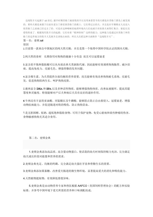 边牧吃什么狗粮好