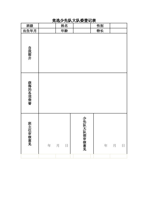 竞选少先队大队委登记表