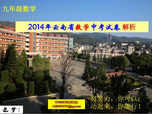 2014年云南省数学中考试卷解析