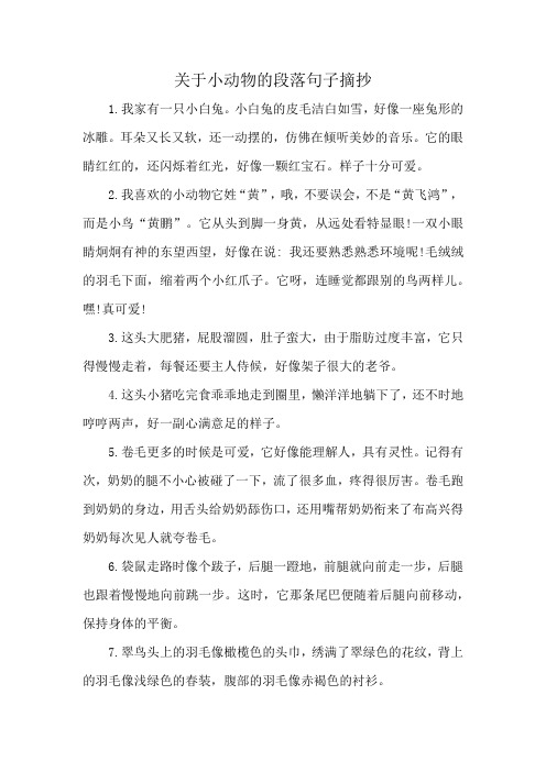 关于小动物的段落句子摘抄