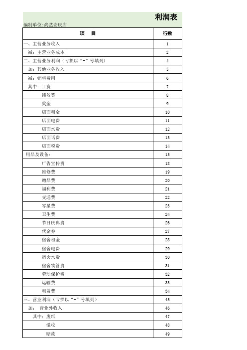 Excel表格通用模板：店铺商铺利润表