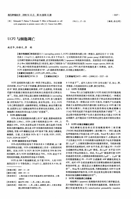 UCP2与细胞凋亡
