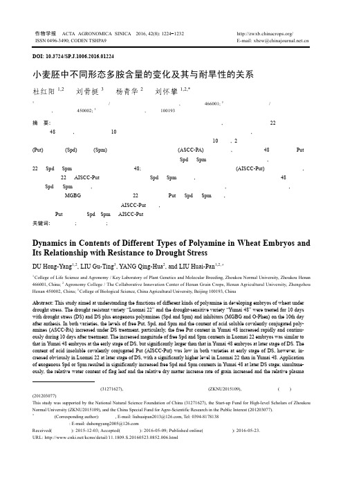 小麦胚中不同形态多胺含量的变化及其与耐旱性的关系