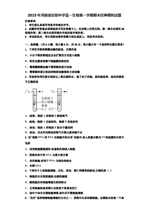 2023年河南省实验中学高一生物第一学期期末经典模拟试题含解析