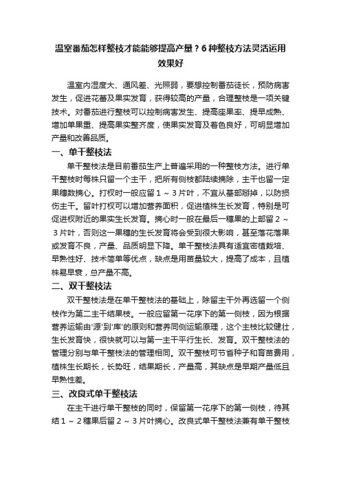 温室番茄怎样整枝才能能够提高产量？6种整枝方法灵活运用效果好