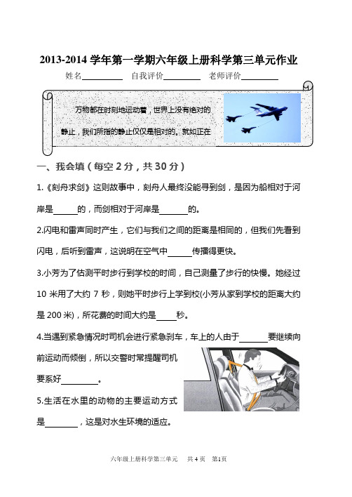 青岛版六年级上册科学第三单元测试