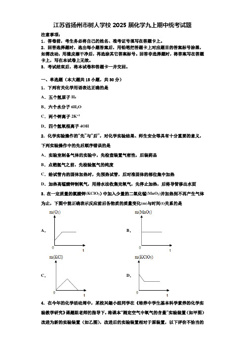 江苏省扬州市树人学校2025届化学九上期中统考试题含解析