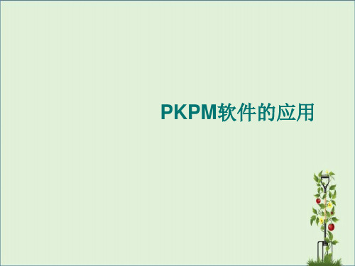 PKPM软件学习PPT