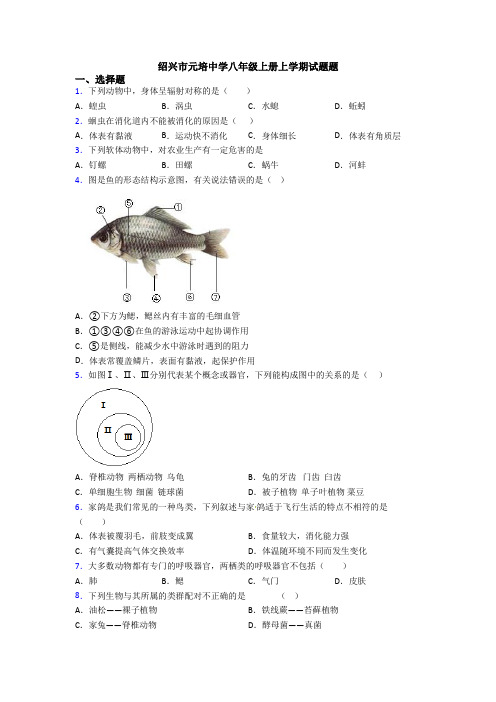 绍兴市元培中学八年级上册上学期试题题