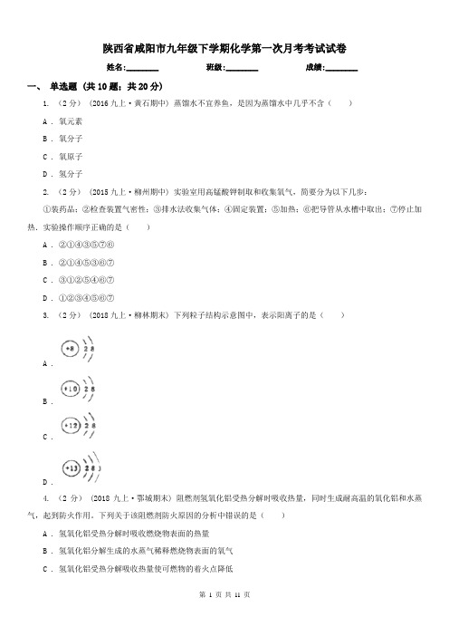 陕西省咸阳市九年级下学期化学第一次月考考试试卷