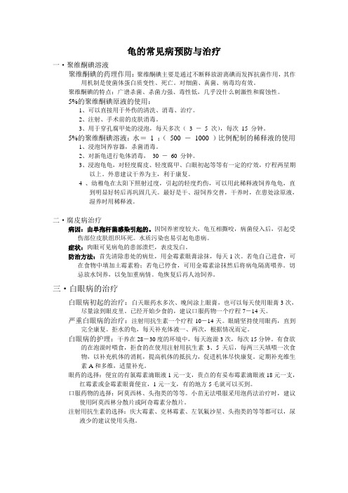 龟的常见病预防与治疗