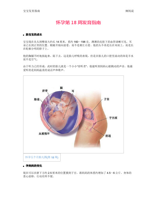 怀孕第18周发育指南