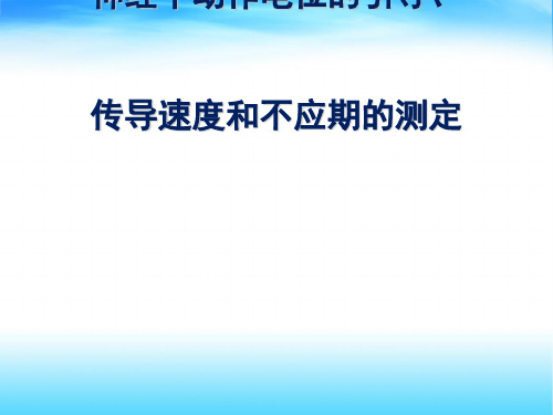 动作电位的引导、传导速度和不应期