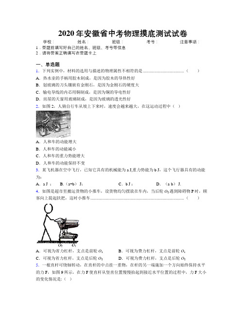 2020年安徽省中考物理摸底测试试卷附解析