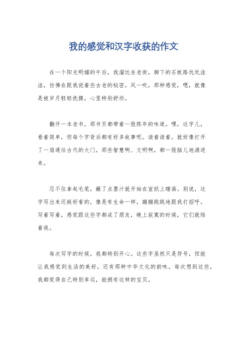 我的感觉和汉字收获的作文