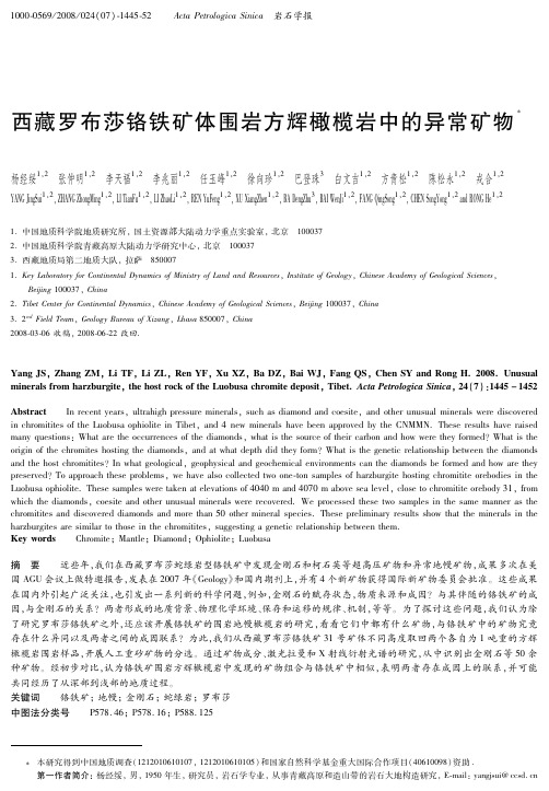 西藏罗布莎铬铁矿体围岩方辉橄榄岩中的异常矿物