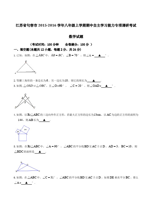 江苏省句容市2015-2016学年八年级上学期期中自主学习能力专项调研考试数学试题(原卷版)