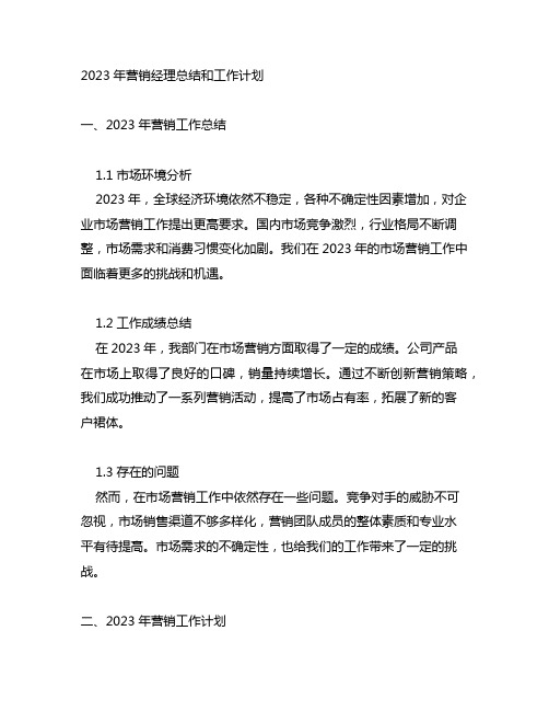 2023年营销经理总结和工作计划