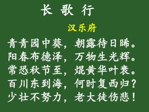 1 长歌行【汉乐府】