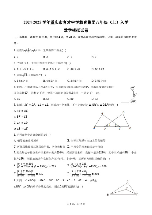 2024-2025学年重庆市育才中学教育集团八年级(上)入学数学模拟试卷(含答案)