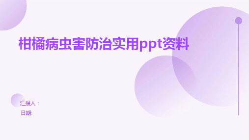 柑橘病虫害防治实用PPT资料