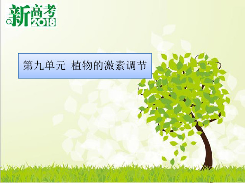 (全国卷 地区专用)高考生物总复习 第九单元 植物的激素调节课件.ppt