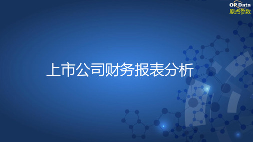 上市公司财务报表分析