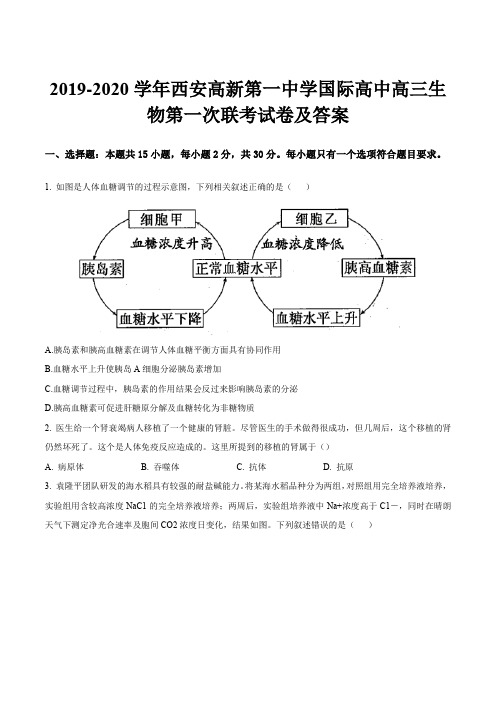 2019-2020学年西安高新第一中学国际高中高三生物第一次联考试卷及答案