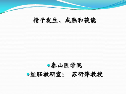 精子发生、成熟和获能