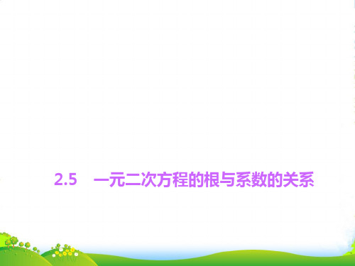 北师大九年级数学上册《一元二次方程的根与系数的关系》课件(共15张PPT)