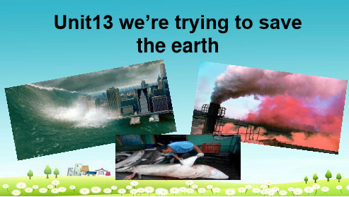 人教版九年级英语下册Unit13_we’re_trying_to_save_the_earth(1a--2d)