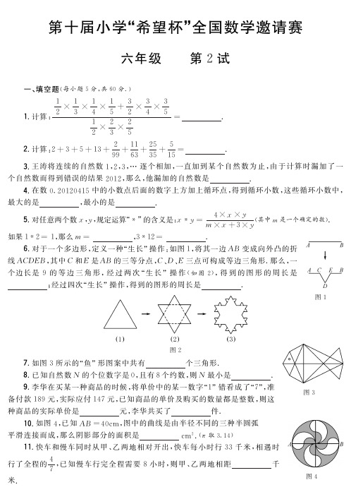第十届小学“希望杯”全国数学邀请赛六年级第2试