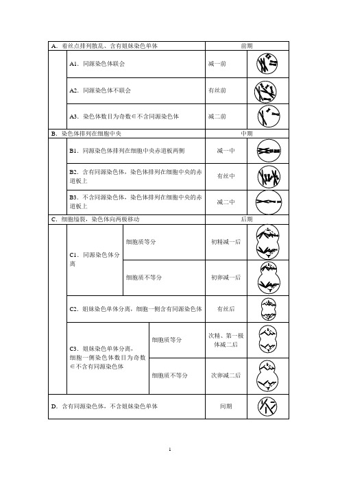 高一生物人教版必修二第二章 复习纲要