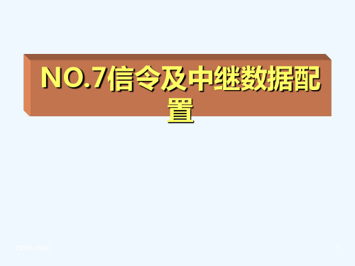 第六章NO.7中继数据配置