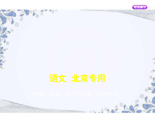 12_附录3 字音、字形与词语(包括熟语)(讲解部分)