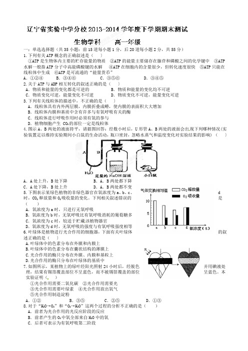 辽宁省实验中学分校2013-2014学年高一下学期期末考试生物试题(有答案)AqHwKH