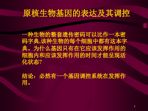 原核生物基因的表达及其调控PPT课件