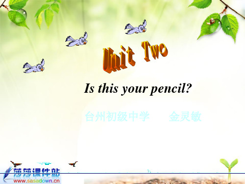 人教版新目标英语七年级上册 Unit 2 Is this your pencil _ section