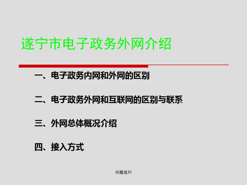 定稿遂宁市电子政务外网介绍学习.ppt