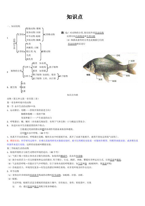 2021人教版八年级生物上册知识点总结(全面)及复习提纲