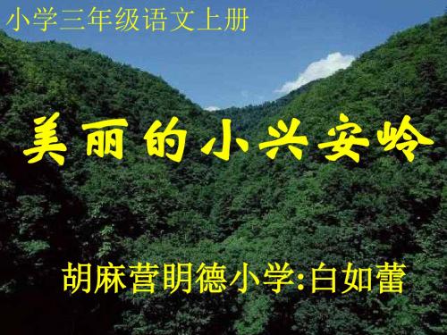 部编小学三年级上册《六单元20 美丽的小兴安岭》白如磊PPT课件 一等奖新名师优质公开课获奖比赛人教版