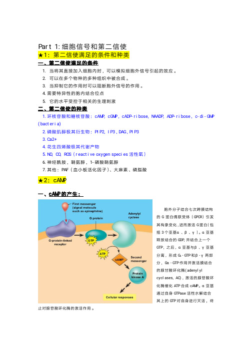 分子生物学---5钙信号与第二信使