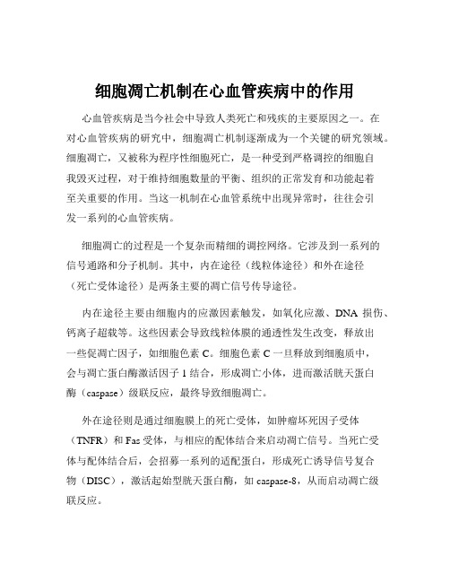 细胞凋亡机制在心血管疾病中的作用