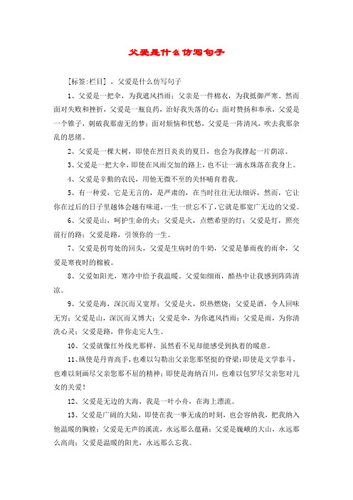 父爱是什么仿写句子