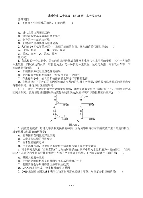 高三浙科版生物一轮复习课时作业23 生物的进化B