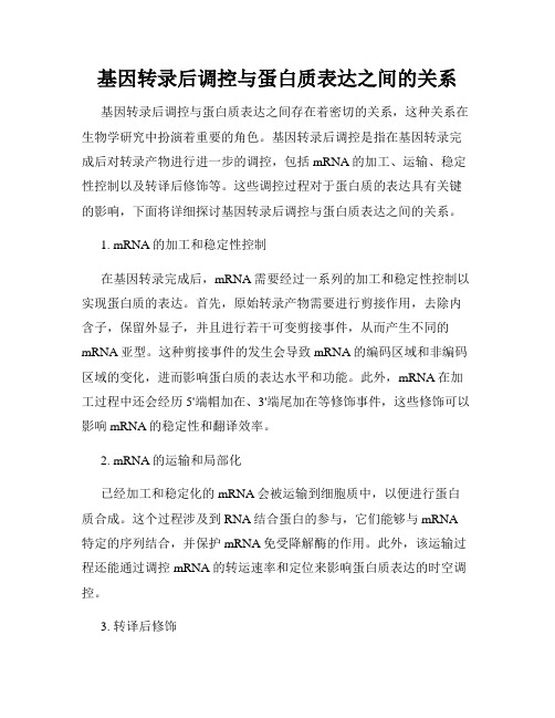 基因转录后调控与蛋白质表达之间的关系